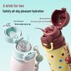 Shidajia 600ml Stainless Steel Dual-Drink Insulated Bottle with Straw