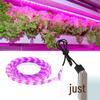 USB LED Grow Light Strip: Full Spectrum 5V 2835 for Vegetable and Flower Growth