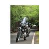 Royal Enfield Meteor 350 "Silver LED Indicators 4 Pcs Set"