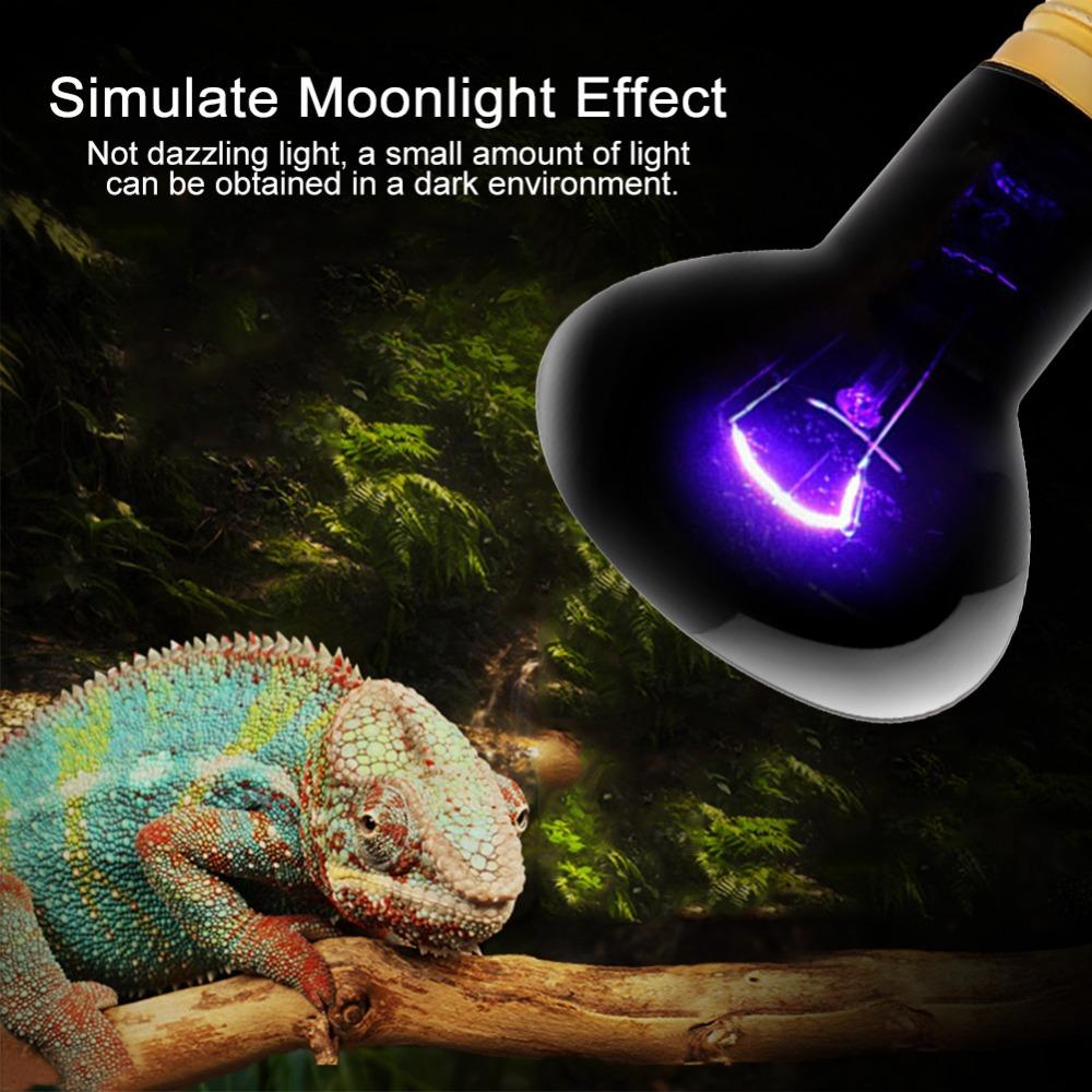 E26 Base Heating Light Bulb High Temperature Resistance Night Light Bulb Amphibian Heat Lamp Pet