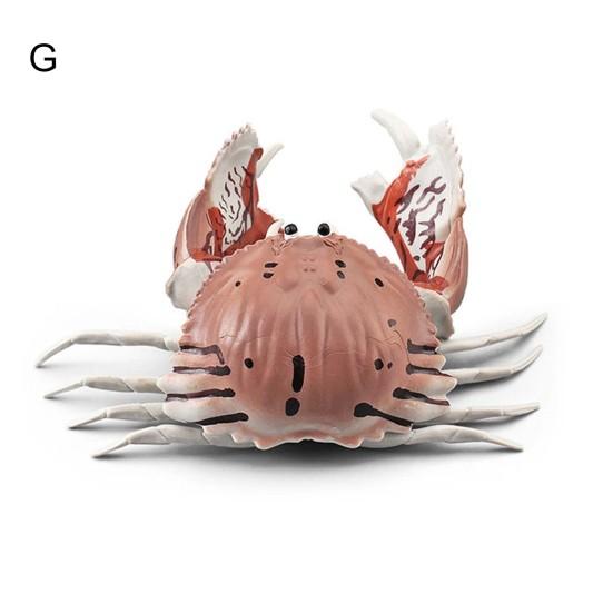 Simulation Animal Model Vivid Intelligence Development Solid Aquarium Miniature Crab Cognition Education Toy for Home