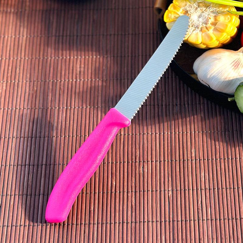 Obst- und Gemüseschäler aus Edelstahl mit Kunststoffgriff