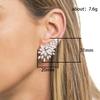 Female Wedding Party Zirconia Stud Earrings Gorgeous Ear Piercing Accessories  For Women Gift