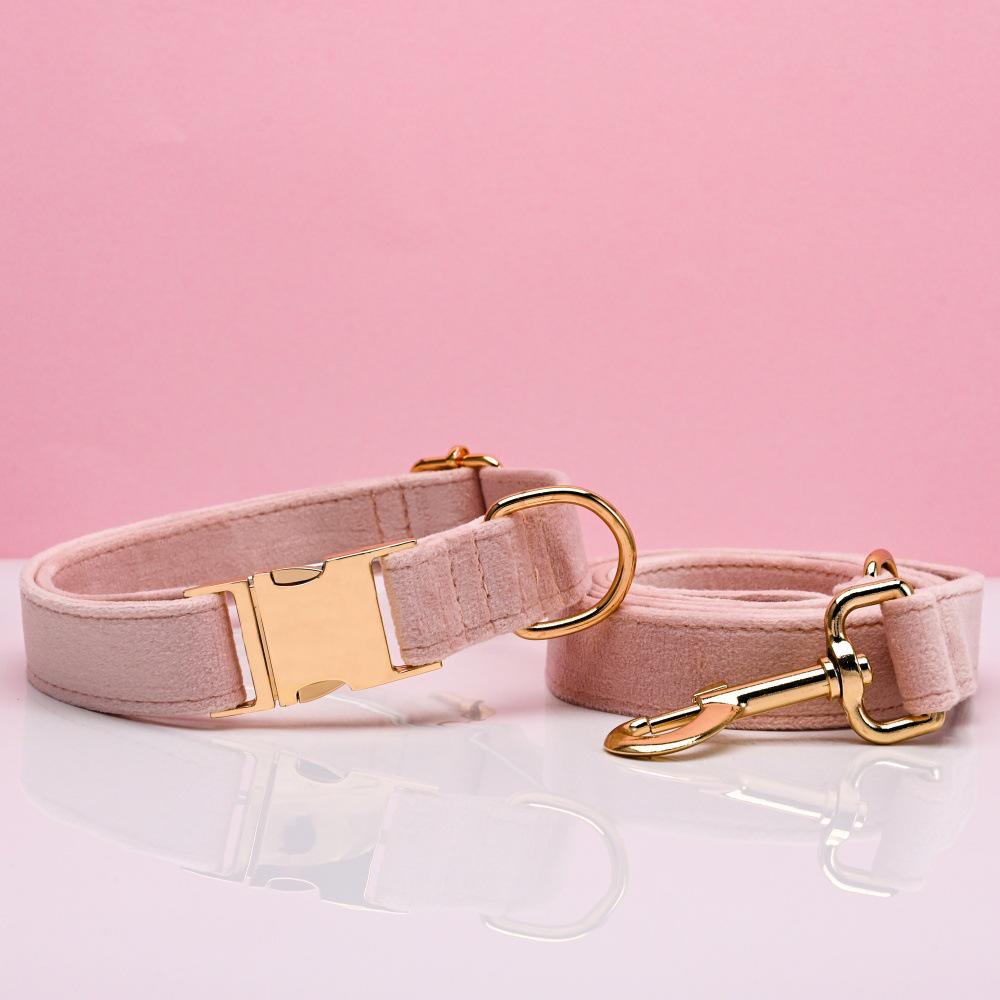 Ensemble collier et laisse pour chien en velours gravé avec boucle métallique réglable