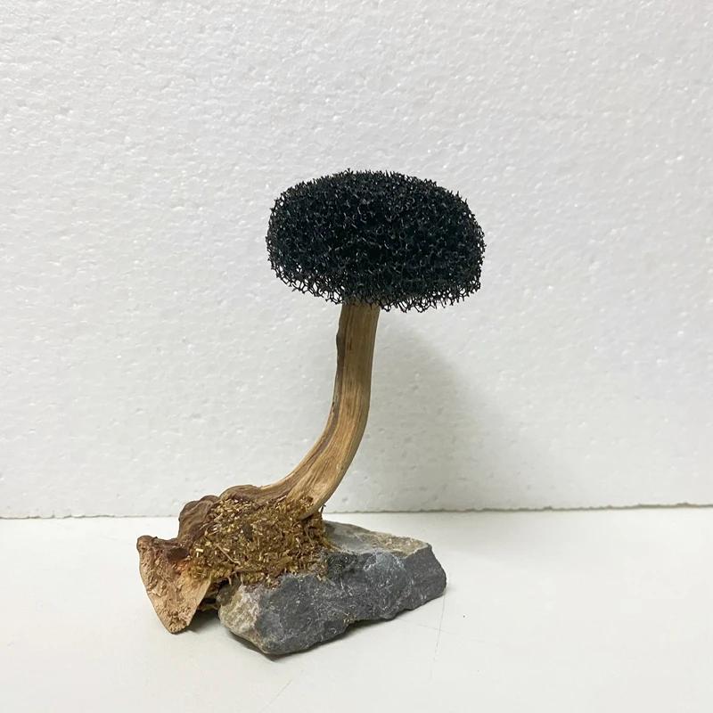 Aquarium Pflanze Moos Baum Landschaftsgestaltung Dekoration Holz Pflanzenwurzel Treibholz Wasserpflanzen Gras Aquarienzubehör (Kein Moos)