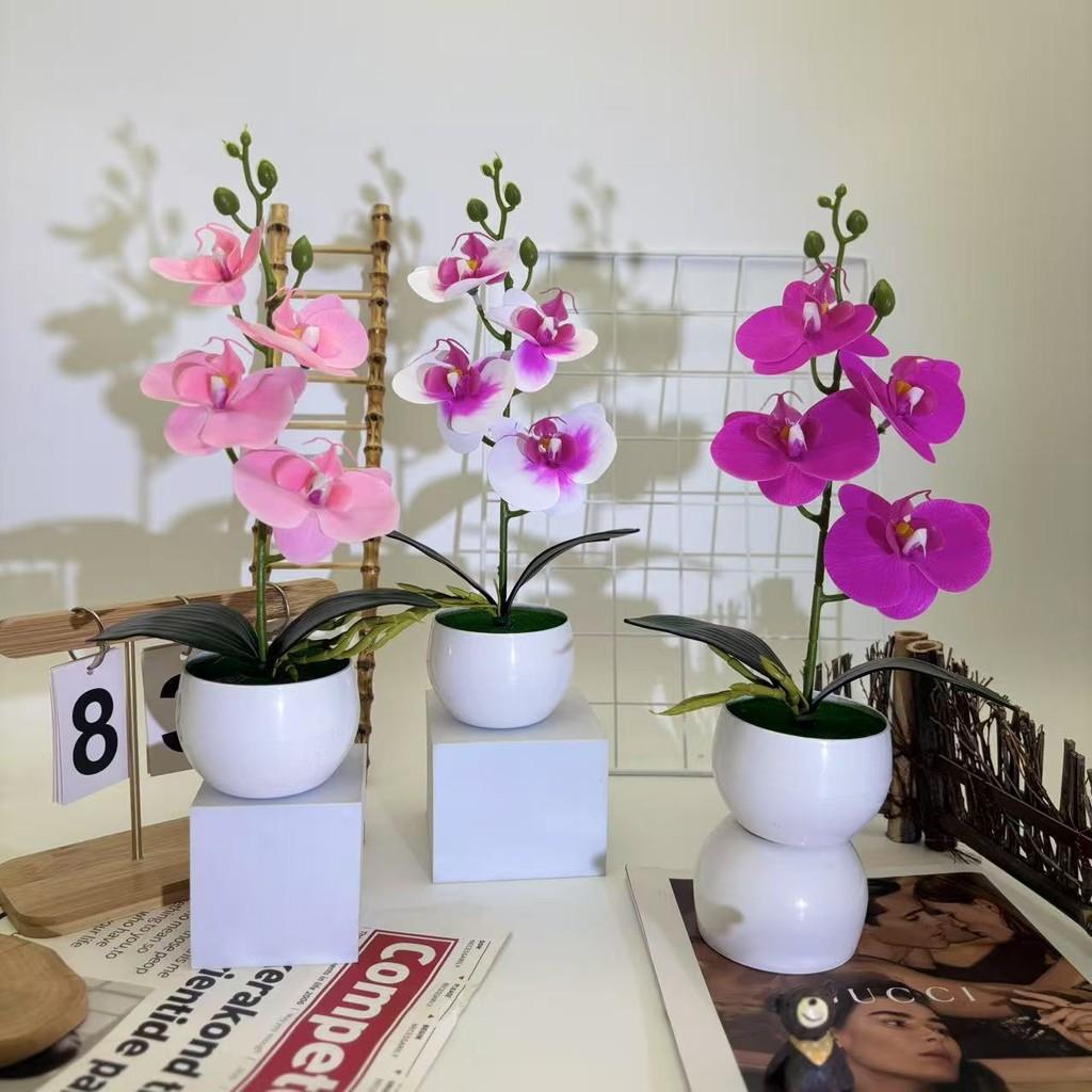 Phalaenopsis Basin Artificial Potted Plant For Home Office Decoration Wedding