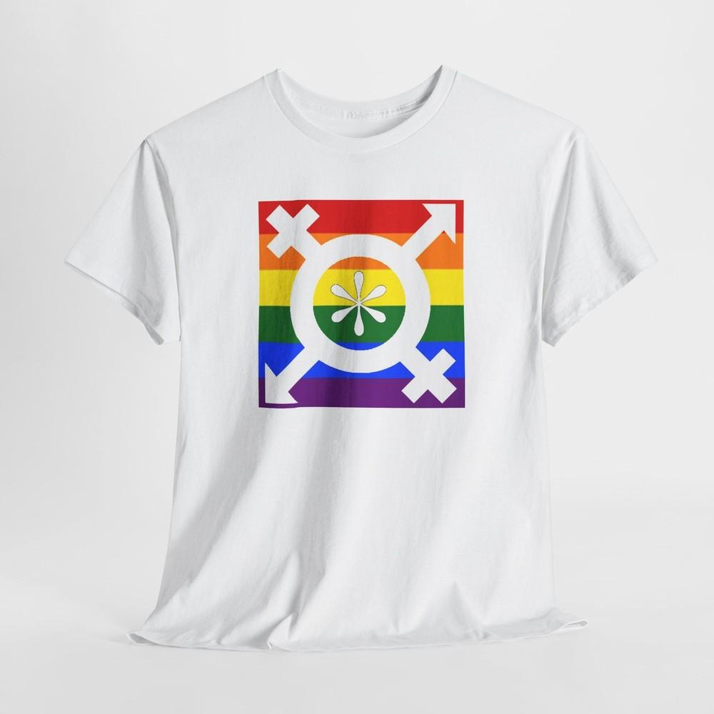 Diverse Pride Tshirt Tops Tee, LGBTQ Inclusive Shirt, Rainbow Flag Progress Top, Intersex