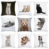 Cute Cat Pattern Of Animals Double-Sided Printed Pillow Cover Short Plush Suitable Living Rooms Bedrooms Throw Cushion Cover