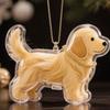 Hair Grooming Dog Hair Storage Box Transparent Puppy Pendants Cartoon Pet Hair Keychain  Backpack
