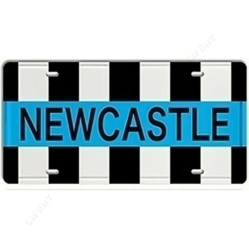 Souvenir Metal License Plate, Custom Auto Sign 15x30cm