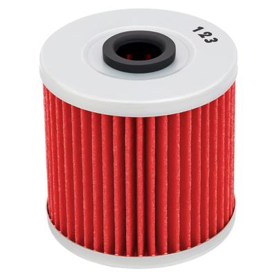 AHL 123 Motorcycle Filter for Kawasaki BJ250 TR 250 2002-2008/ BJ250 Estrella Custom