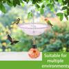 Durability Outdoor Hanging Hummingbirds Feeders Rustproofed Stainless Steel Easy Setups For Balcony