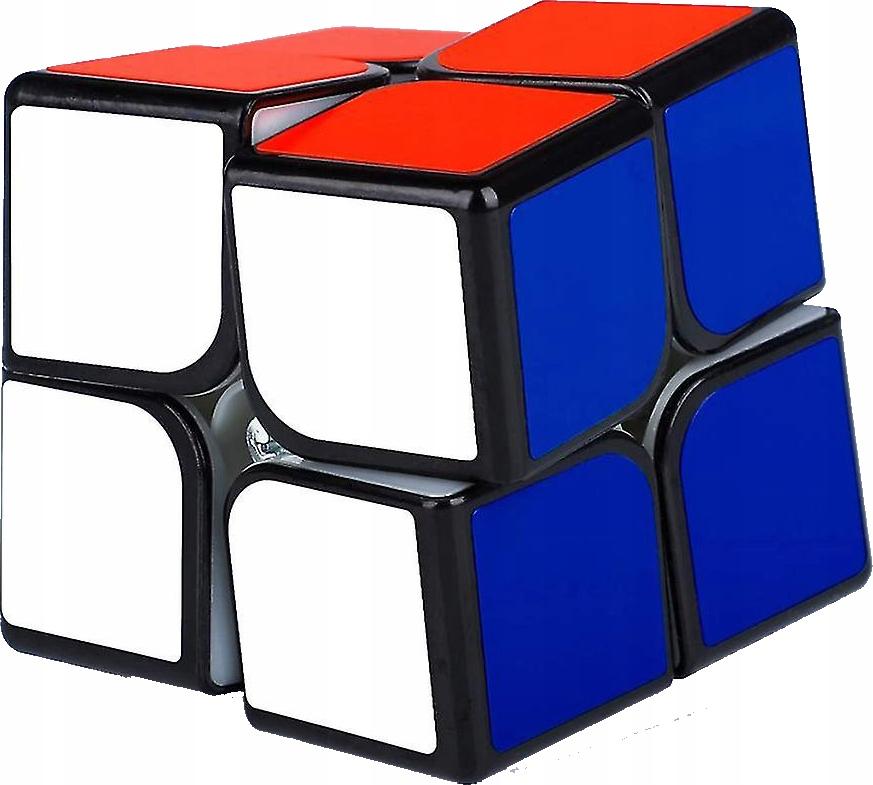 Moyu Magnetic Black 2X2X2