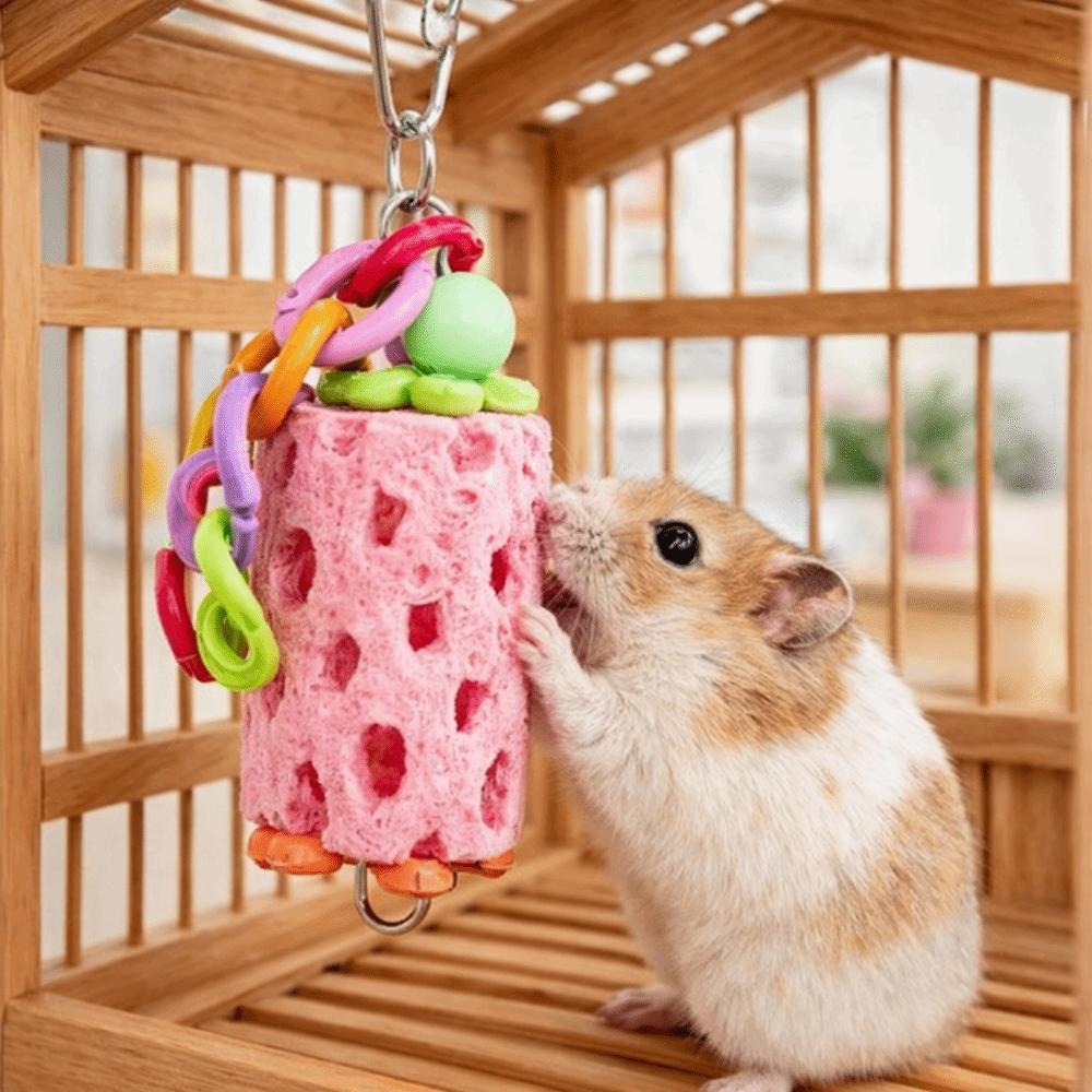 Colorful Parrot Chewing Toys Interactive Hanging Hamster Grinding Stone Bite Resistant Mouth Molar String Parrot Cage