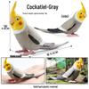 Children's Static Wild Animal Bird and Parrot Figure Set