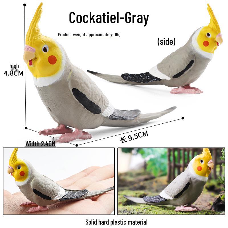 Children's Static Wild Animal Bird and Parrot Figure Set