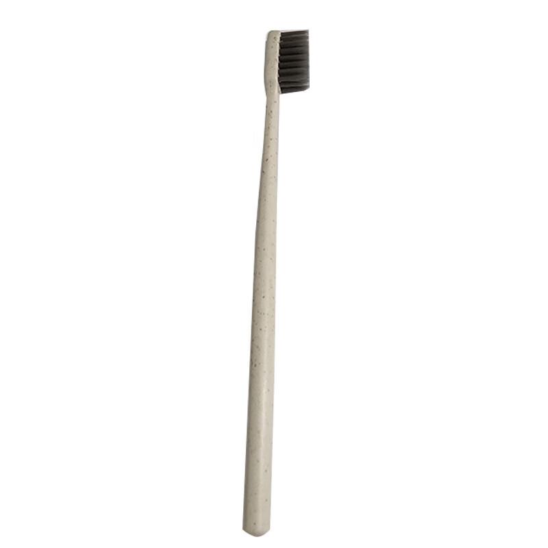 Disposable Toothbrush (100-count)