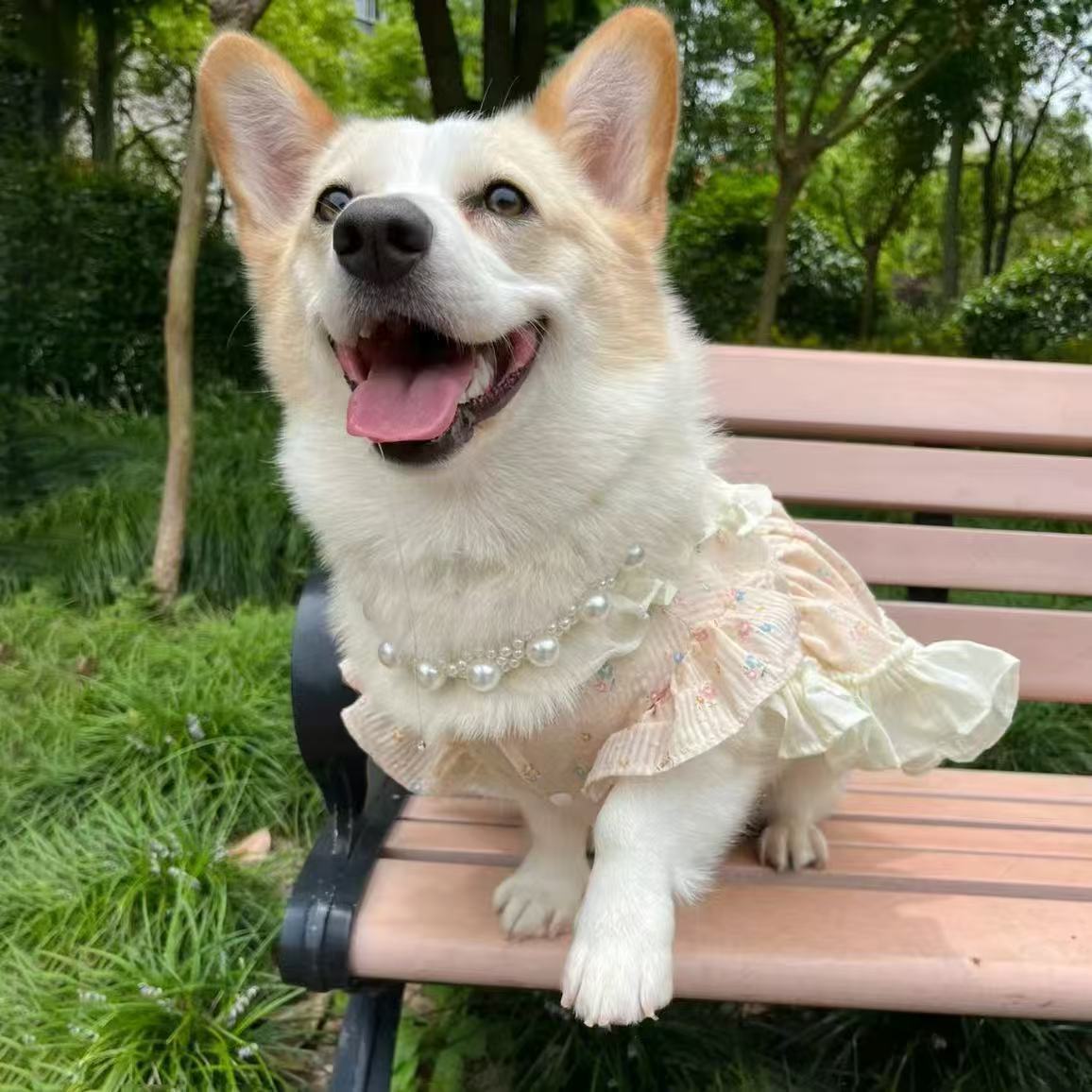 

Одежда для питомцев весна и лето ультралегкая одежда для корги, одежда для питомцев, милая юбка в стиле принцессы с бантом XXL chest 70 back 50 about 26-17.5 kg