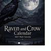 Desktop And Wall Organizer Raven Crow 2027 Calendar, 12 Months Moonlit Gothic Unique Gift for Goth Lovers Art, Mysterious Dark Hanging Calendar