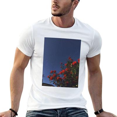 Oberteile – T-Shirts