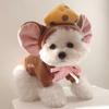 Spring and Autumn Thin Three-dimensional Mushroom Sweater Dog Clothes Teddy Bigbear Cat Medium Small Dog Pet Clothes