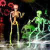 40cm Halloween Human Shape Skeleton,Posable Skeleton,Human Shape Bones,Halloween Herror Decorations,Haunted House Horror Props