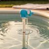 Thermomètre de piscine Corps transparent Cordon inclus Indicateur de température Hippopotame