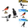 Lifelike Crow Bird Model Pvc Material Educational Toy Bird Figurine Non-assembly 3c Certified