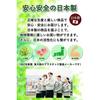 Food Sample Materials Made Japan Rice Natural White Standard 200g Toy Shop Yamato Spirit.