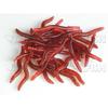 80pcs Earthworm Red Worms Soft Fishing Lure Baits