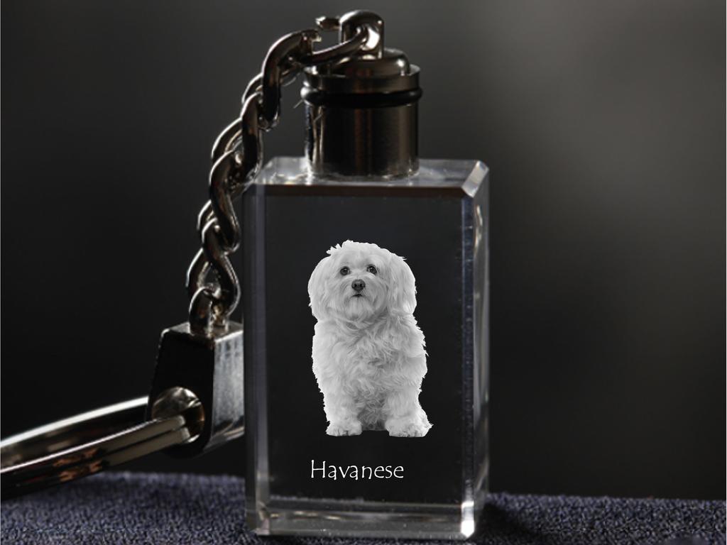 Havanese, Havanese Cuban Bichon, Bichón Havanés - Crystal key ring with dog photo, illuminated key ring, unique gift by Art-Dog brand