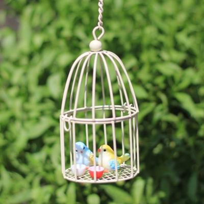 Păsări – Cuști pentru păsări și accesorii