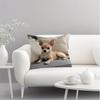1Pc Chihuahua Print Throw Pillow Cover,Suitable For Sofa,Bedroom,Living Room,A Heartwarming Gift For Dog Lovers