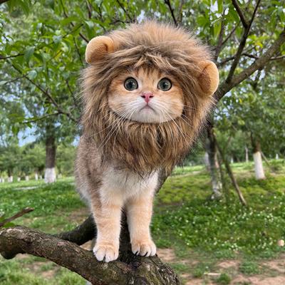 Halloween Cat Lion Mane Wig Costume Funny Lion Hair Pet Cosplay Outfit