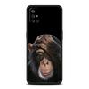 Monkey Phone Case For OnePlus 13 12 11 10 9 8 7T Pro 13R 12R 10R 9RT 8T Nord N200 N30 2T CE 2 3 5G Lite Soft Cover