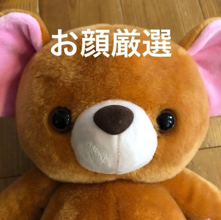 [USED] Peter Pan Michael Teddy Bear Plush Toy Disney Store