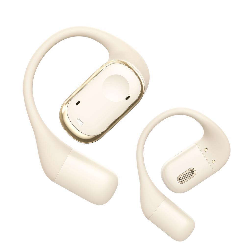 Earbuds Voice Translation Device RealTime 139 Languages Online Offline Wireless BT TwoWay