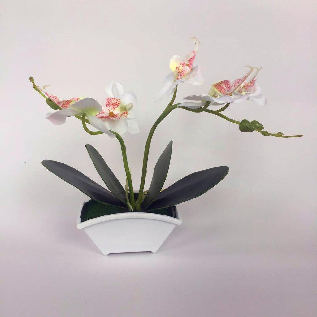 Green Phalaenopsis Faux Plant Bonsai Ornaments For Home Office Special Occasion