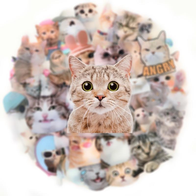 

50 шт./набор Милые INS Наклейки для скрапбукинга с котятами Прозрачные Каваий Наклейки для фона для ведения журнала DIY Декор Наклейка на гитару, ноутбук