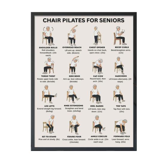 Chair Exercise Poster Seated Workout Chart Gentle Chair Yoga Movements Low Impact Exercise Guide for Seniors Beginners
