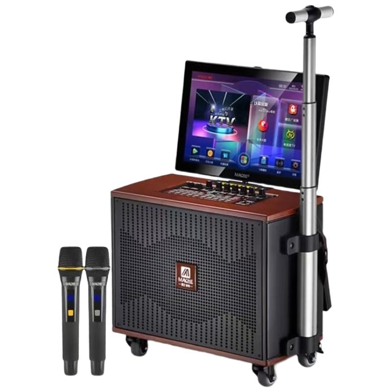 Malone KTV Karaoke Speaker System