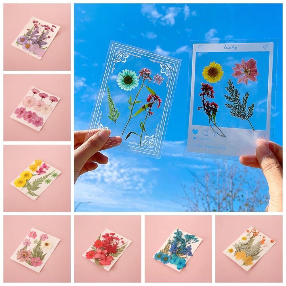 Handmade Dried Flower Stickers DIY Materials Flower Page Bookmark DIY Dried Flower Bookmarks  Kids