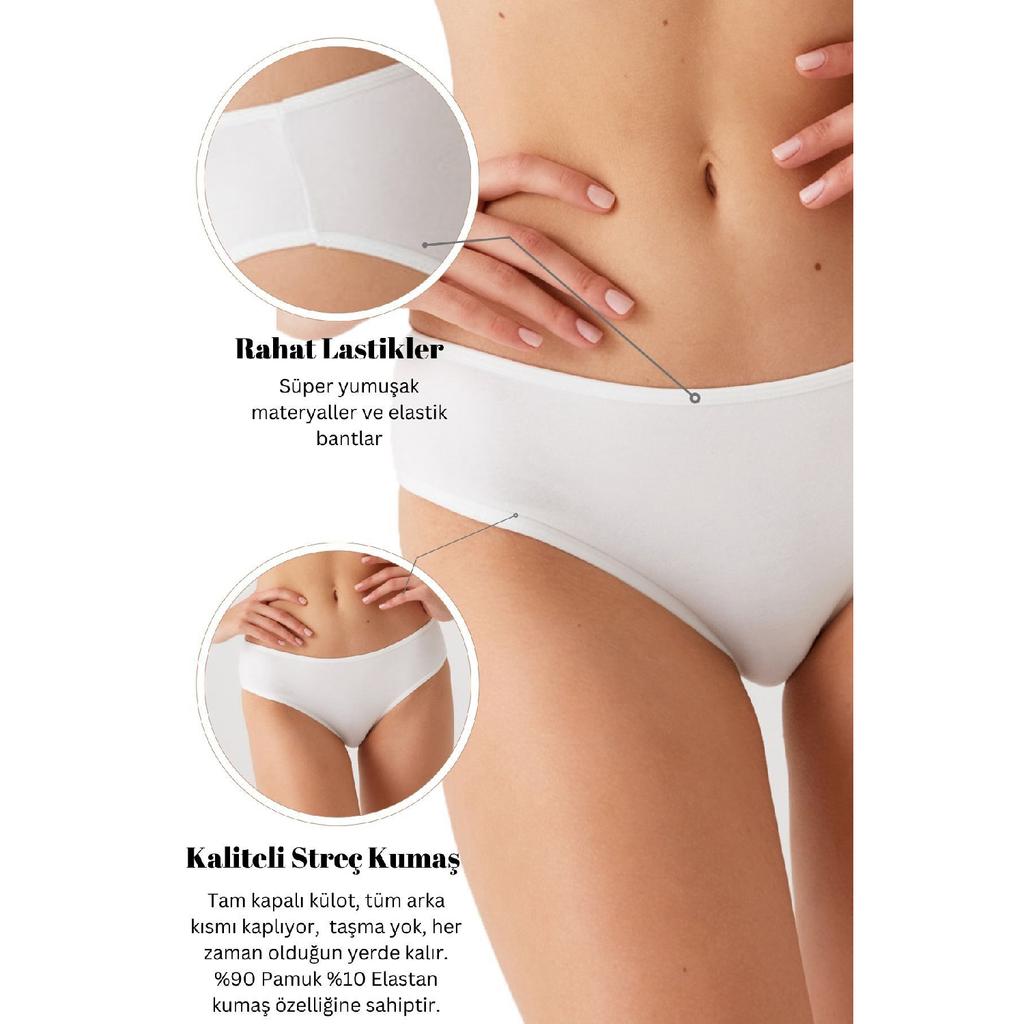 Economic Pack Of 5 2956 Normal Waist Comfortable Fit Cotton Classic Basic Standard Panties