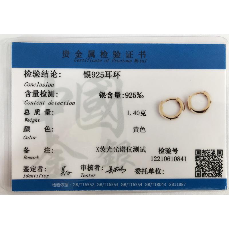 WANTME Pendientes de Aro Huggies Minimalistas Mate Góticos Unisex de Plata 925 para Mujeres Hombres Joyería de Hebilla para Oreja Piercing