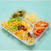 Disposable Microwavable Compartmented Plastic Takeout Containers