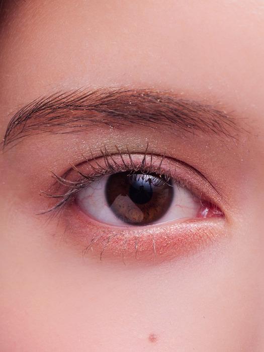 MilleFee Van Gogh Eyeshadow Palette 10 Roses