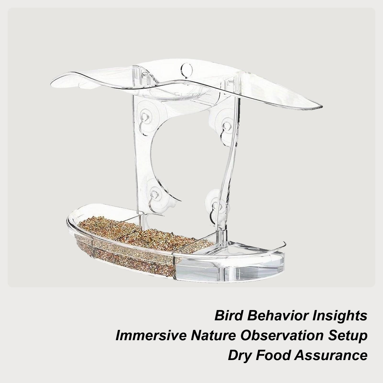 

Window Bird Feeders Pet Feeding Stations With Suction Cups Clear Window Bird Feeder With Strong Suction Cup For Macaws Parrots China Mainland