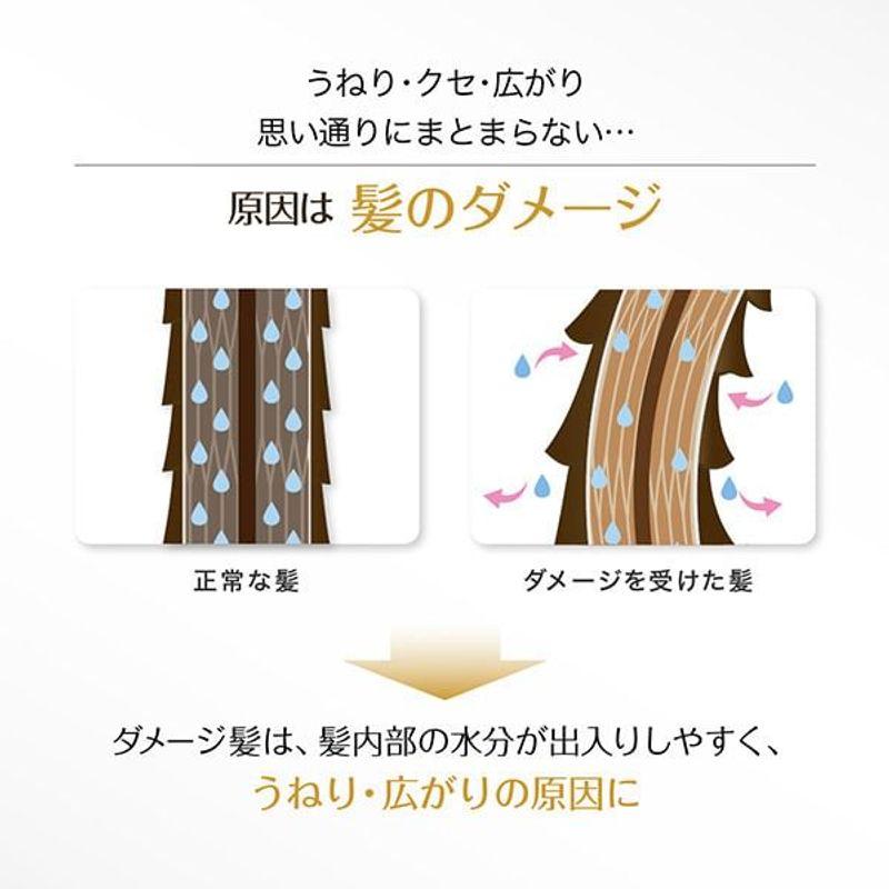 L'Oreal Paris Elseve Extraordinary Hair Oil Extra Rich