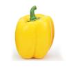 Home Decor Creative Plastic Artificial Pepper Artificial Fruit Fake Vegetable Photography Props