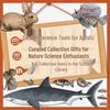 Illustrated Guide To Animal Anatomy